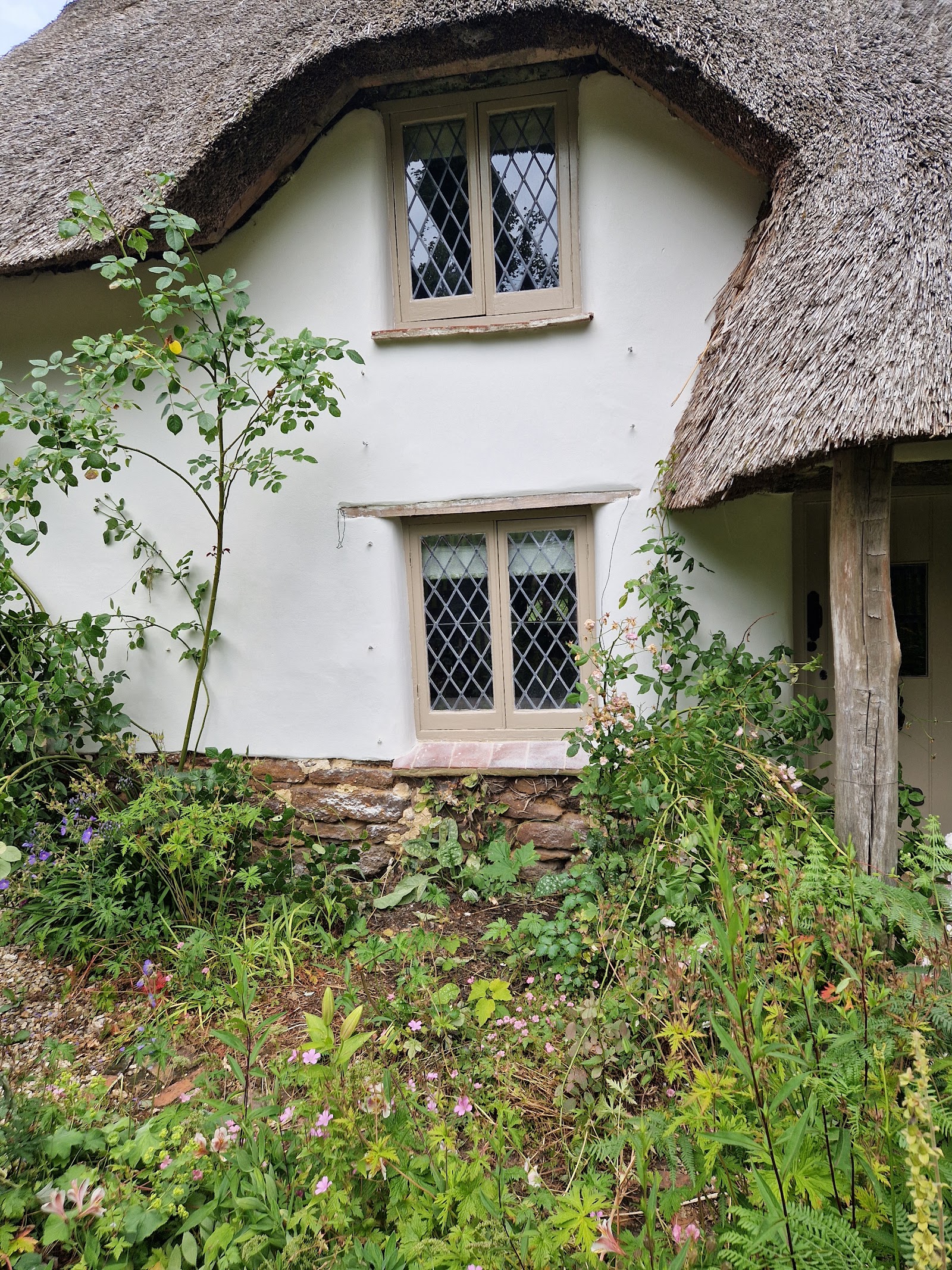 Thatched cottage with freshly painted white walls